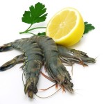 Pâtes aux gambas